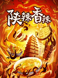 《陕辣香辣》最新免费高清电影无广告在线播放|纪录·大陆·2023  第1张