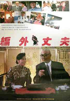 《编外丈夫》最新免费高清电影无广告在线播放|喜剧·中国大陆·1993  第1张