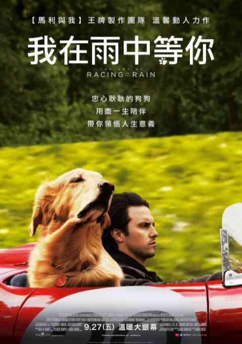 《我在雨中等你》最新免费高清电影无广告在线播放|剧情,喜剧·美国·2019  第1张
