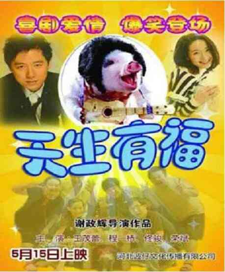 《天生有福》最新免费高清电影无广告在线播放|喜剧·中国大陆·2014  第1张