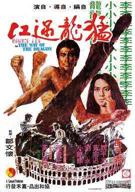 《猛龙过江》最新免费高清电影无广告在线播放|动作·中国香港·1972  第1张