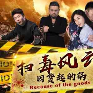 《扫毒风云之因货起的祸》最新免费高清电影无广告在线播放|喜剧,动作,爱情·中国大陆·2017  第1张