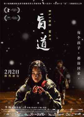 《盲·道》最新免费高清电影无广告在线播放|剧情·中国大陆·2017  第1张