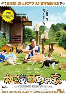 《猫咪后院之家》最新免费高清电影无广告在线播放|剧情·日本·2017  第1张