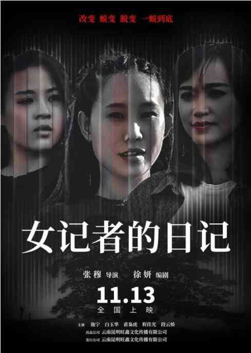 《女记者的日记》最新免费高清电影无广告在线播放|剧情·中国大陆·2020  第1张