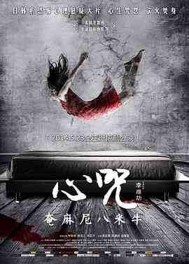 《心咒》最新免费高清电影无广告在线播放|剧情·中国大陆·2013  第1张