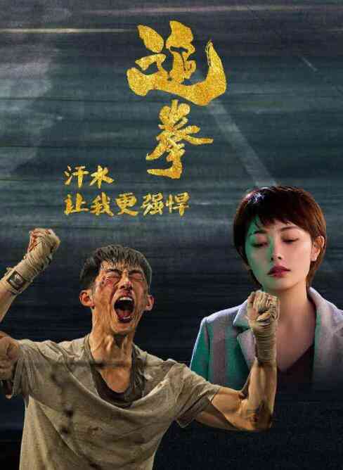 《追拳》最新免费高清电影无广告在线播放|剧情·中国大陆·2019  第1张