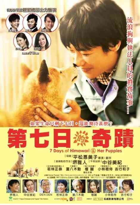 《向日葵与幼犬的7天》最新免费高清电影无广告在线播放|剧情·日本·2013  第1张