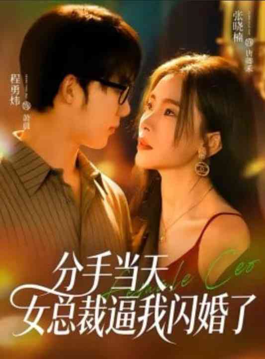《分手当天，女总裁逼我闪婚了》全集免费高清短剧无广告在线播放|短剧·中国大陆·2026  第1张