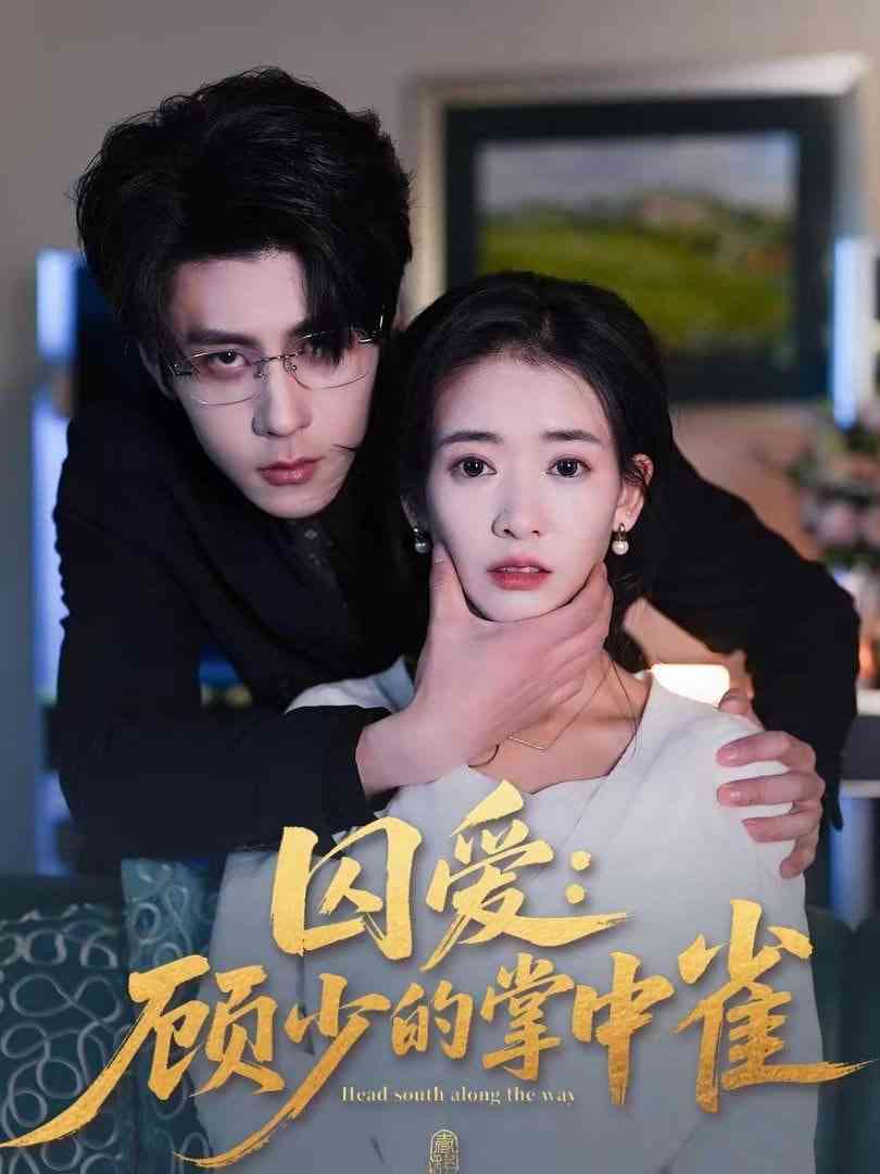《囚爱：顾少的掌中雀》全集免费高清短剧无广告在线播放|短剧·中国大陆·2026  第1张