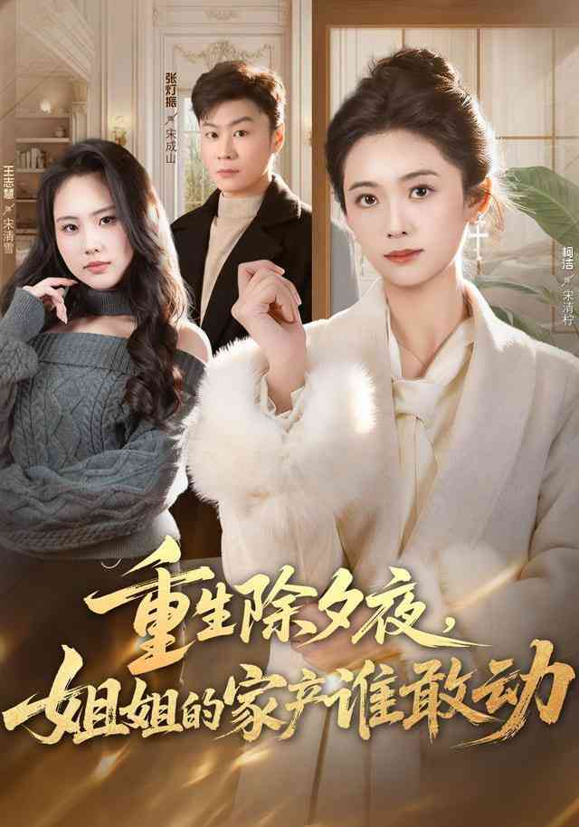 《重生除夕夜，姐姐的家产谁敢动》全集免费高清短剧无广告在线播放|短剧·中国大陆·2026  第1张