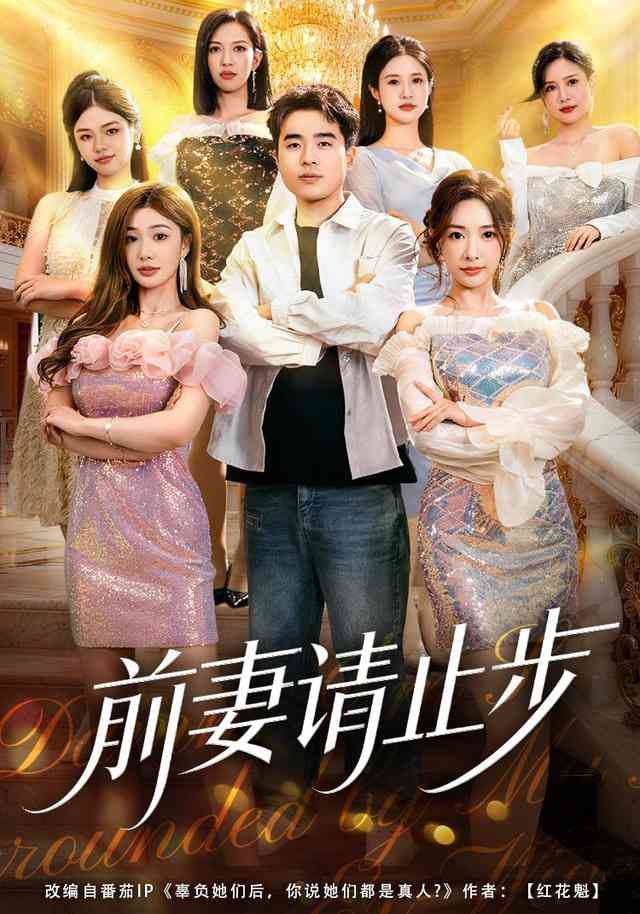 《前妻请止步》全集免费高清短剧无广告在线播放|短剧·中国大陆·2026  第1张