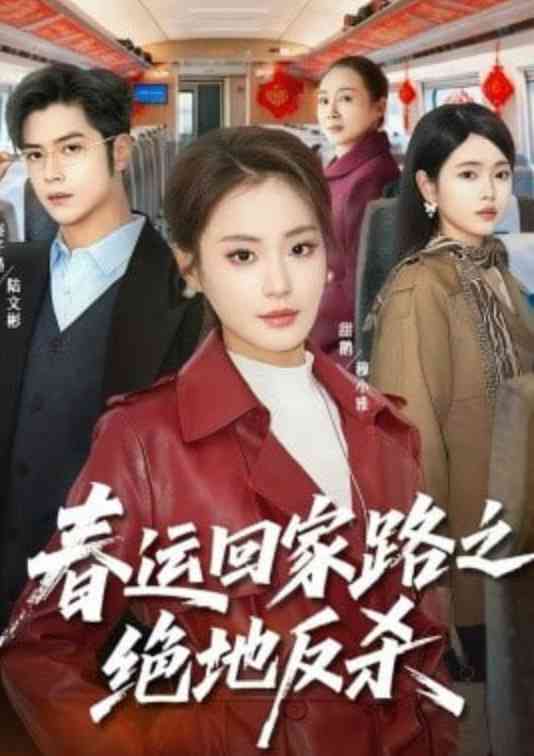 《春运回家路之绝地反杀》全集免费高清短剧无广告在线播放|短剧·中国大陆·2026  第1张