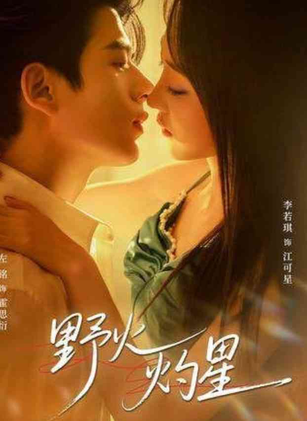 《野火灼星》全集免费高清短剧无广告在线播放|短剧·中国大陆·2026  第1张