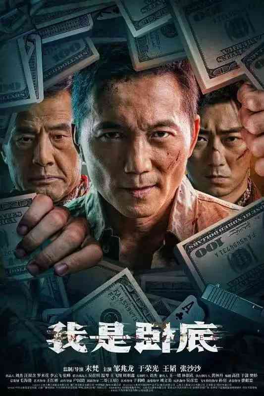 《我是卧底》最新免费高清电影无广告在线播放|剧情,动作,犯罪·中国大陆·2026  第1张