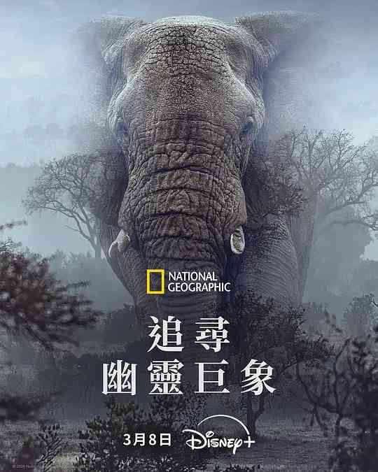 《追寻幽灵大象》最新免费高清电影无广告在线播放|纪录片·美国·2025