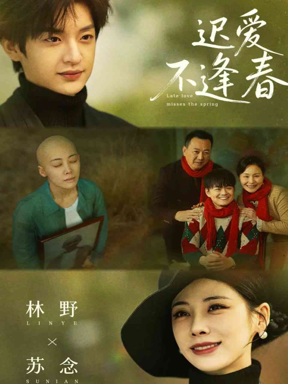 《迟爱不逢春》全集免费高清短剧无广告在线播放|短剧·中国大陆·2026