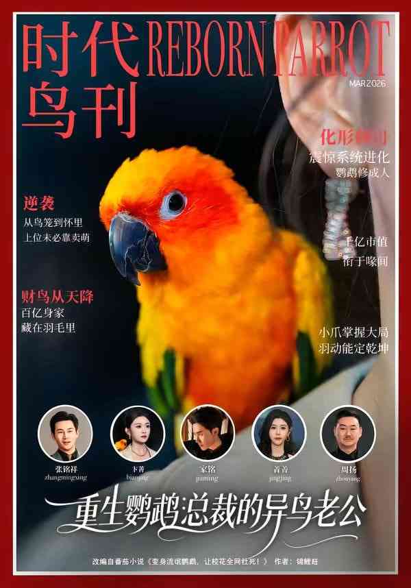 《重生鹦鹉：总裁的异鸟老公》全集免费高清短剧无广告在线播放|短剧·中国大陆·2026