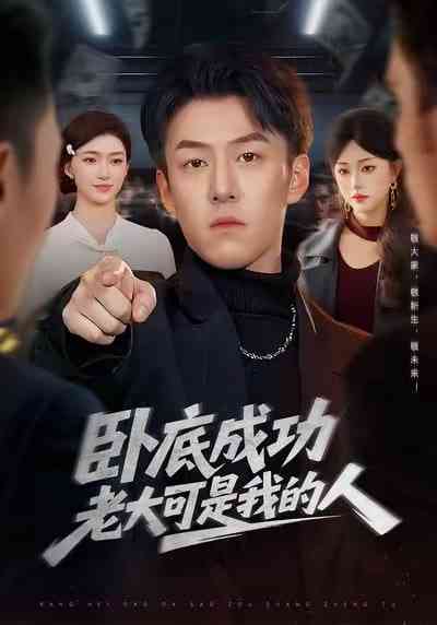 《卧底成功老大可是我的人》全集免费高清短剧无广告在线播放|短剧·中国大陆·2026  第1张